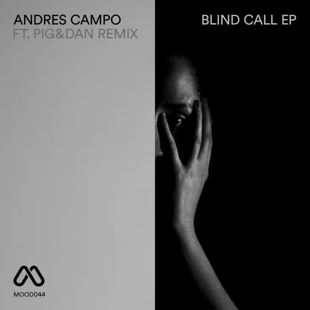 Blind Call (Pig & Dan Remix)