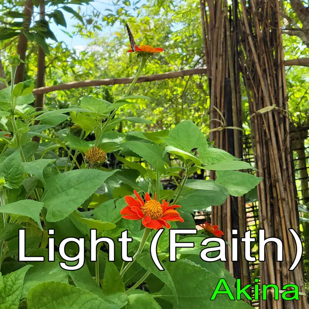 Light (Faith)
