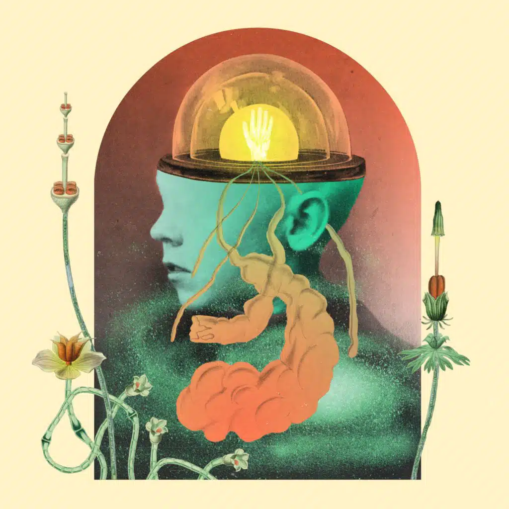 Salami Rose Joe Louis & Brijean