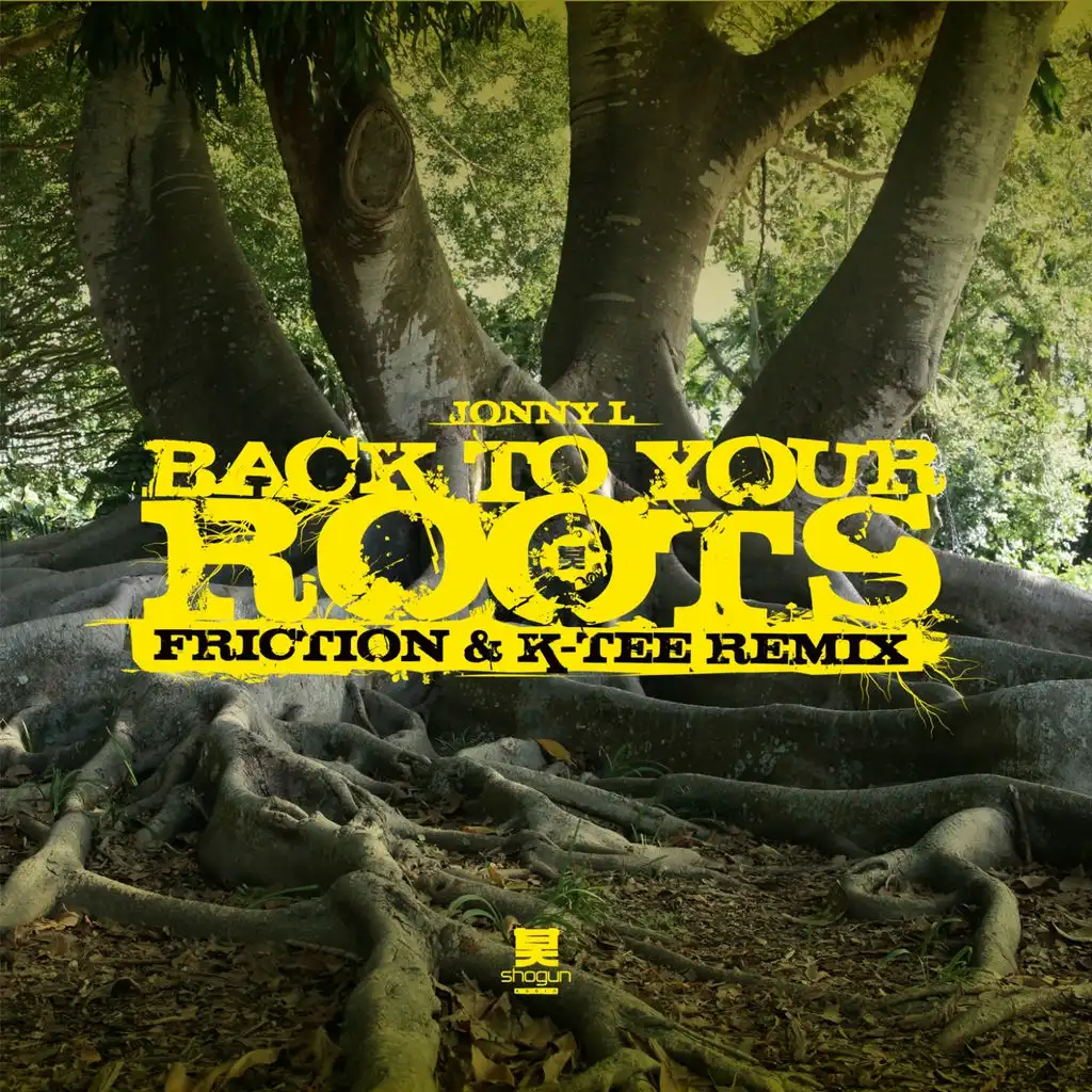 Back to Your Roots (Instrumental) (Friction & K-Tee Remix)