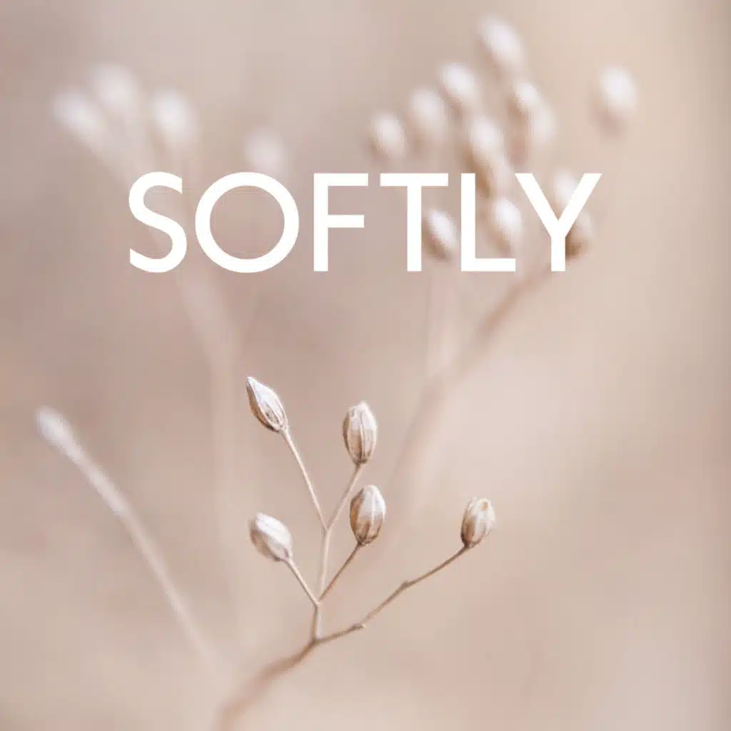 Softly: Tranquil Music for Relaxation, Meditation, Harmonize Your Mind, Body & Spirit