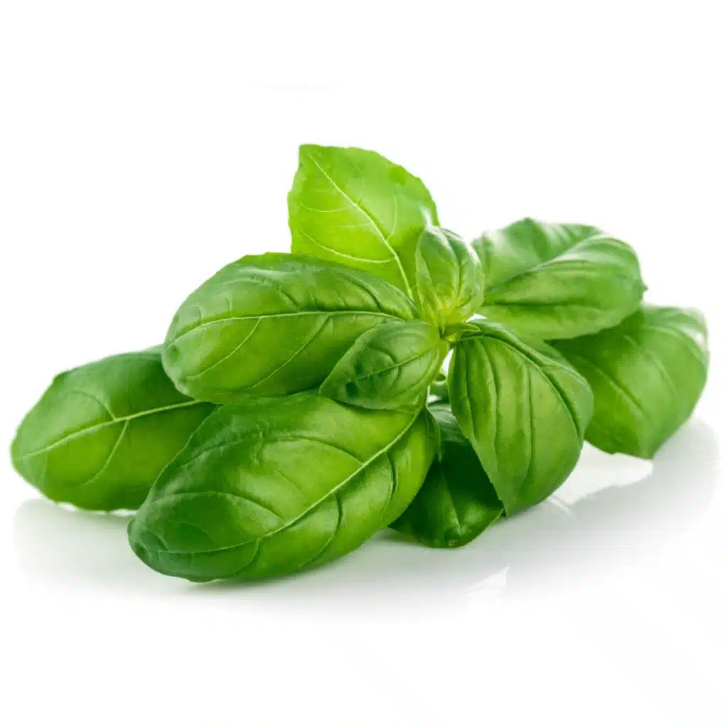 SLP 263: Self Love Quicky - BASIL OIL