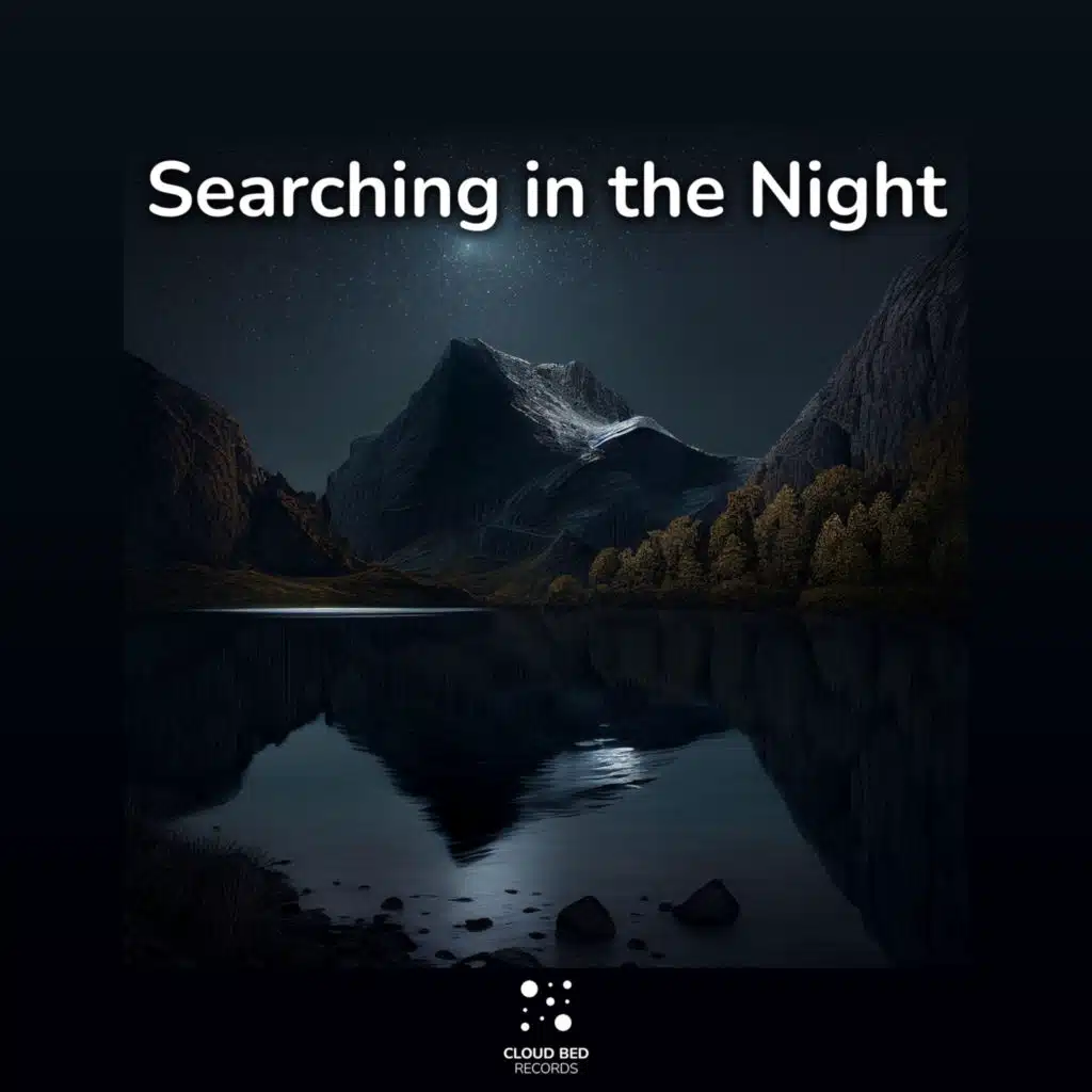 Searching in the Night (feat. Soothing Mind Music)