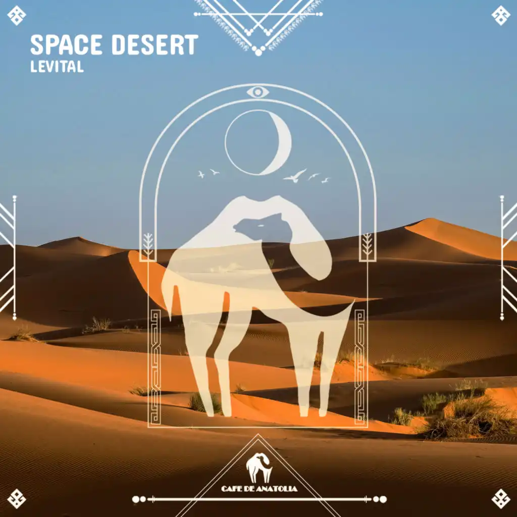 Space Desert