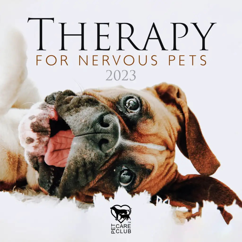 Music for Dogs (Relaxation)