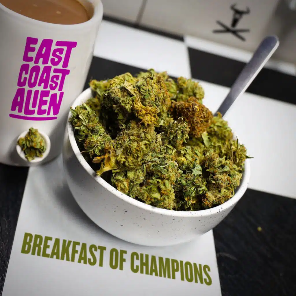 Breakfast of Champions