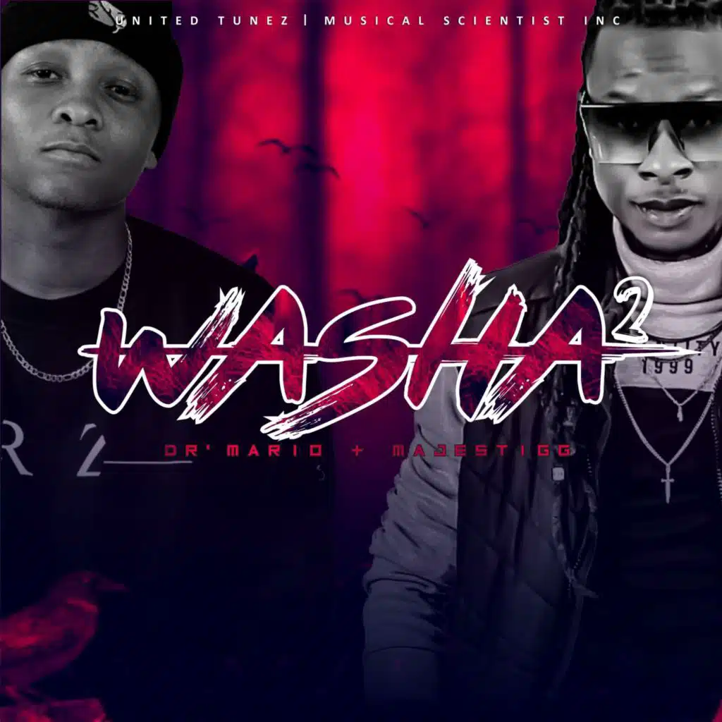 Dr 'Mario & Majestigg