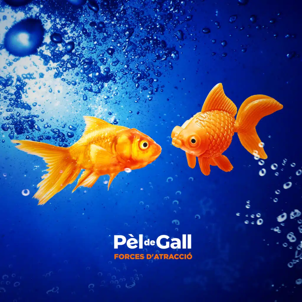 Pèl de Gall