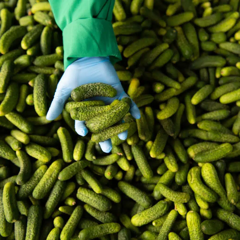 Lebensmittelkontrolle - Eine Risiko-Geschichte