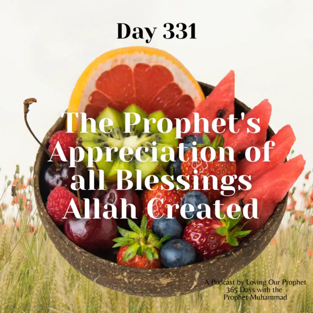 Day 331 - The Prophet's Appreciation of all Blessings Allah Created