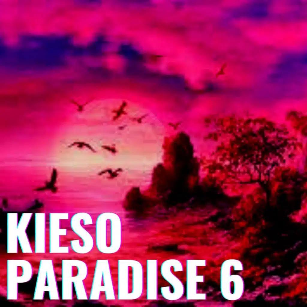 Kieso Paradise 6