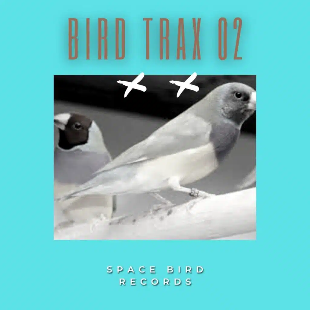 Bird Trax 02