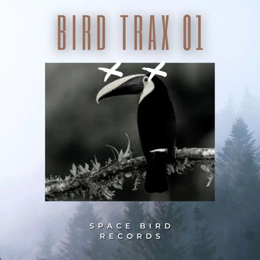 Bird Trax 01