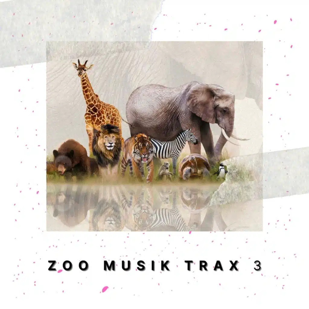 Peace Bird (Box Mix)