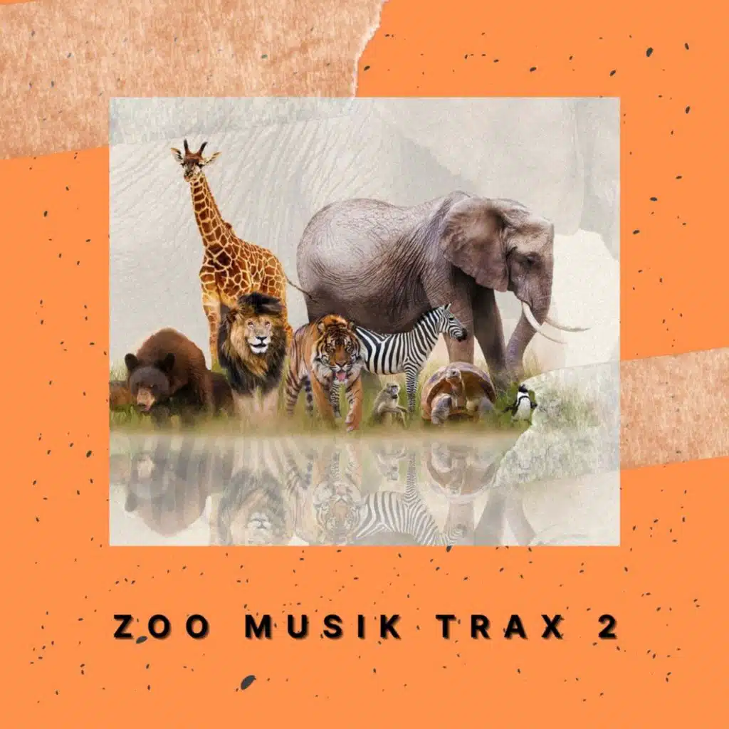 Energy Flow (Box Mix)