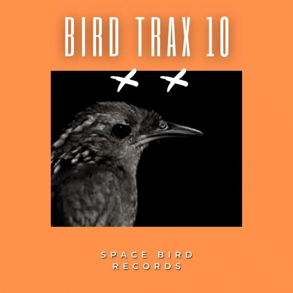 Bird Trax 10