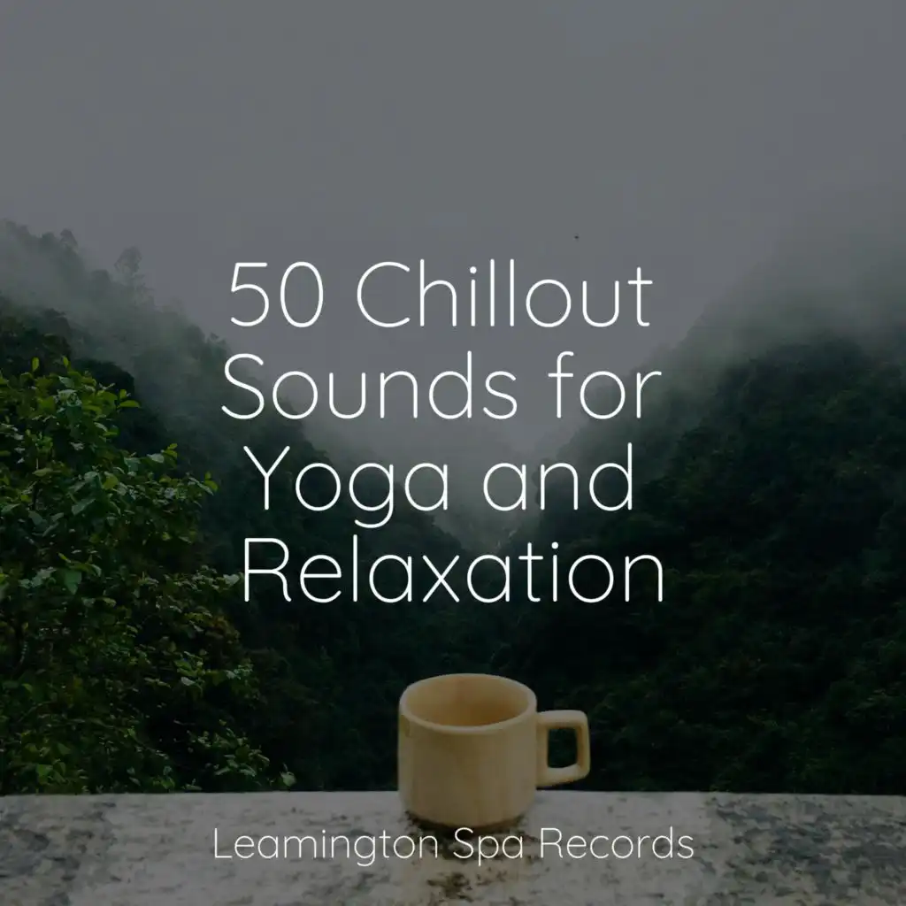 50 Chillout Sounds for Yoga and Relaxation
