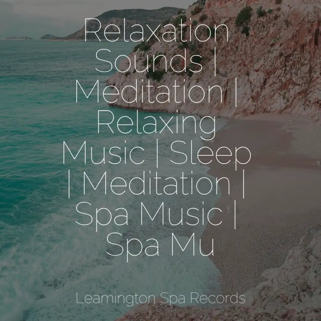 Relaxation Sounds | Meditation | Relaxing Music | Sleep | Meditation | Spa Music | Spa Mu