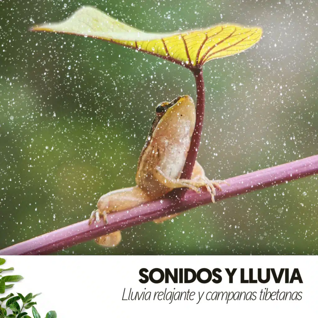 Sentimientos Fluidos