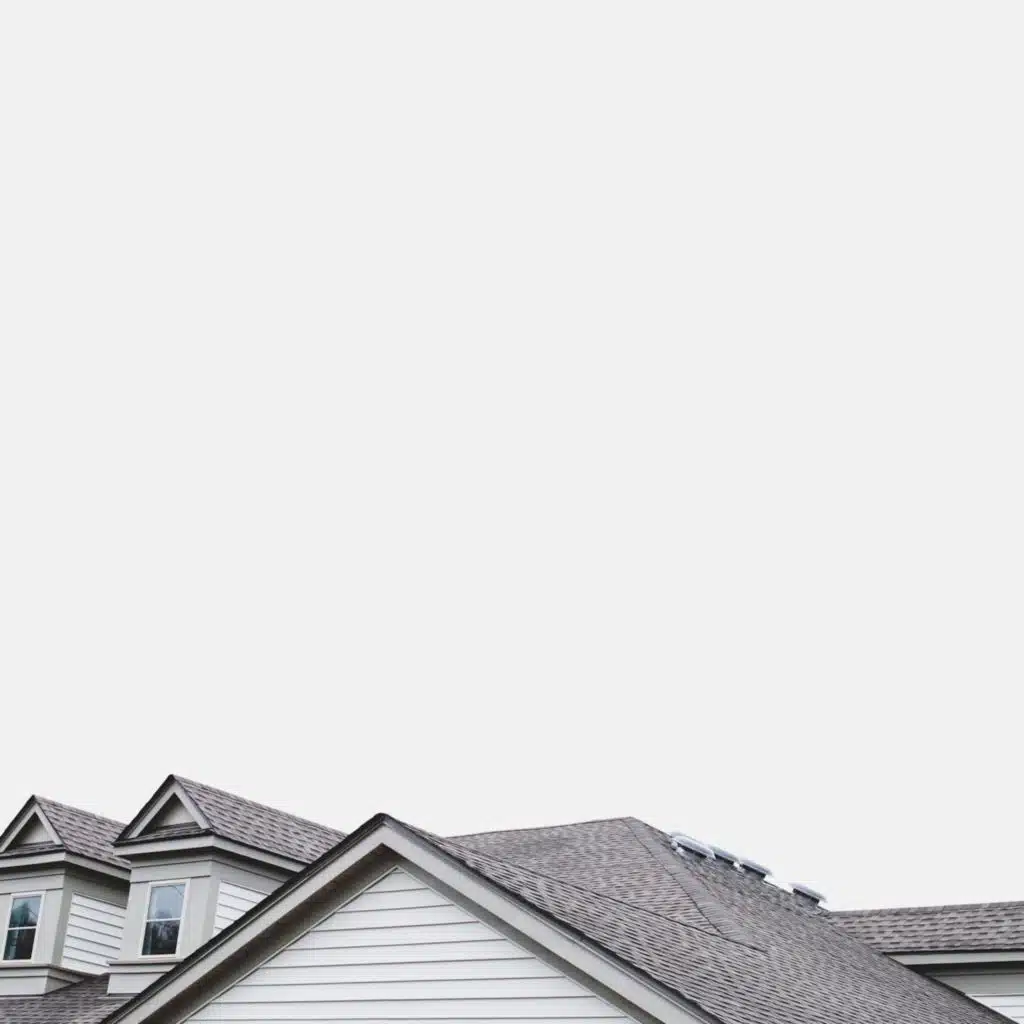 But Of Course We're Vanishing