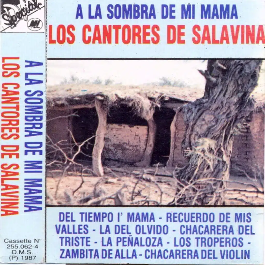 Los Cantores De Salavina