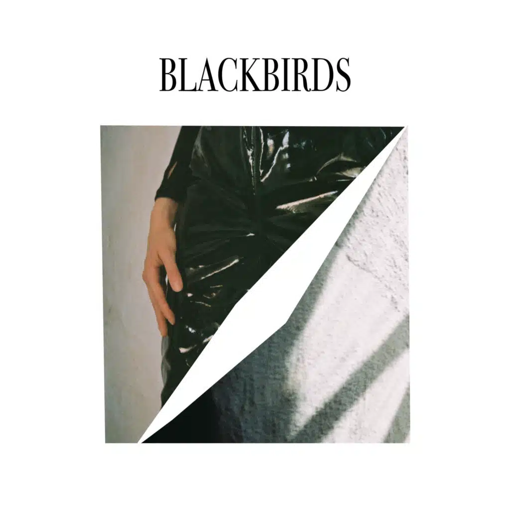 Blackbirds (Instrumental Version)