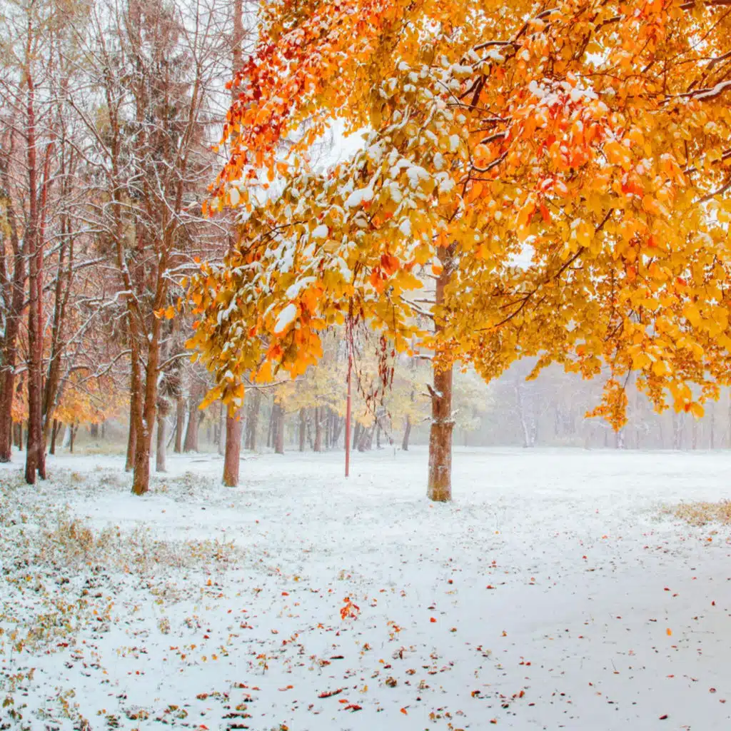 Quran for Kids Joz 30 Without Repetition