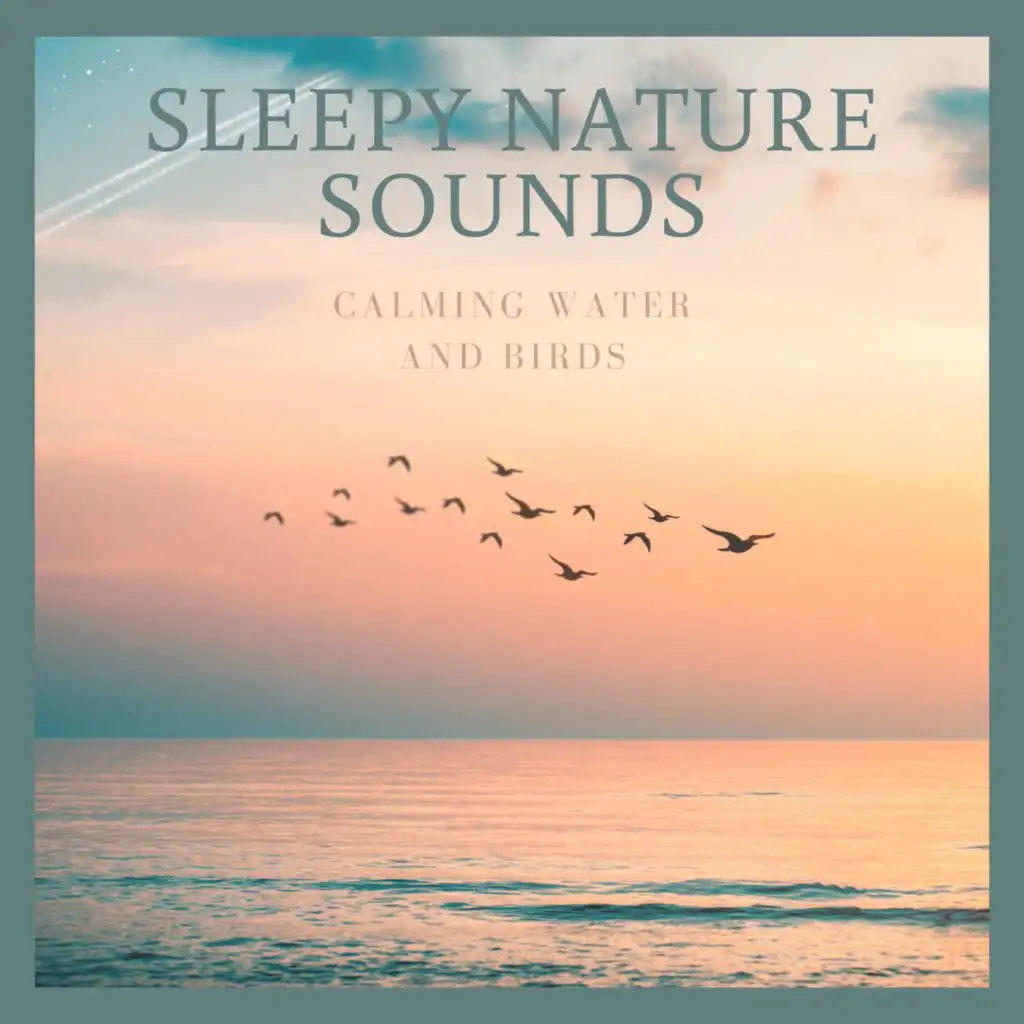 Calming Birdsong