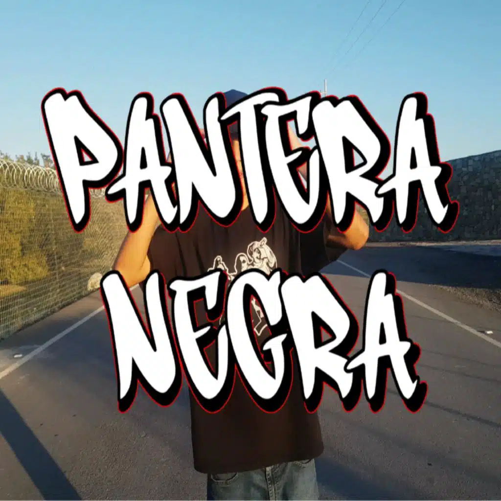 CALLEJEROS NOCTURNOS