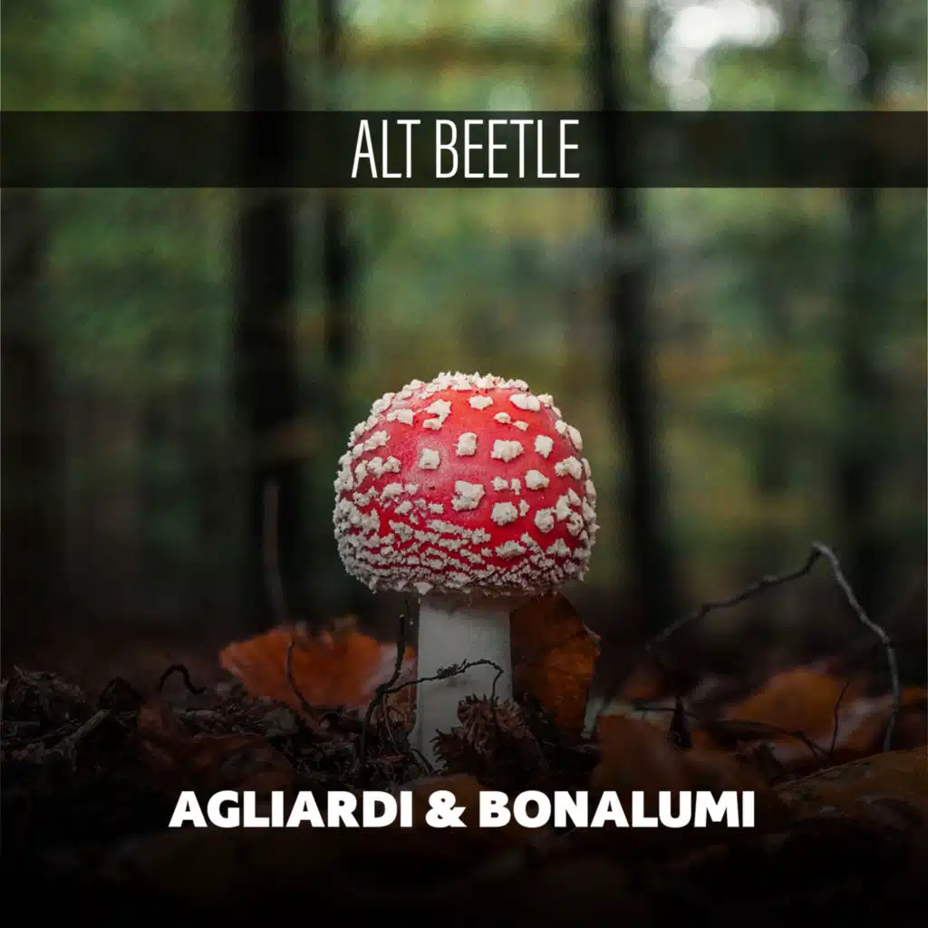 Agliardi & Bonalumi