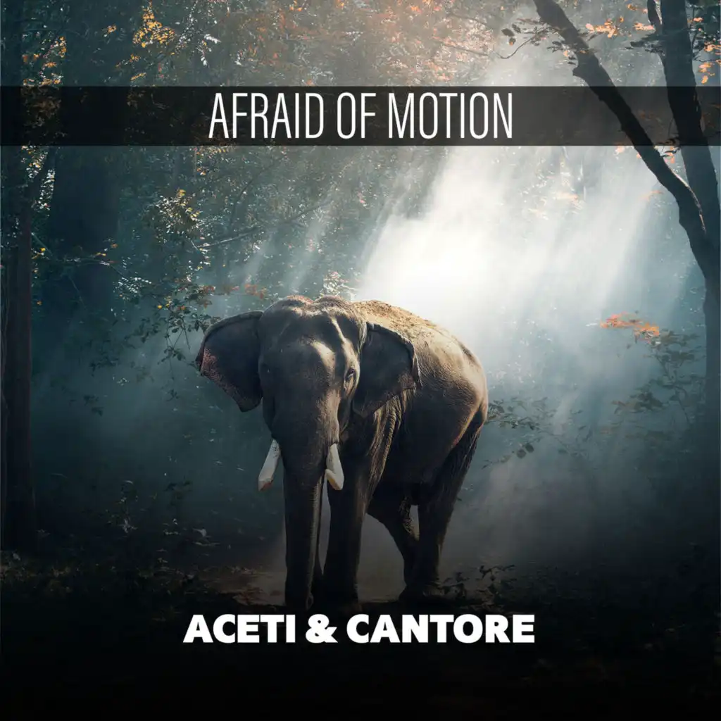 Afraid Of Motion