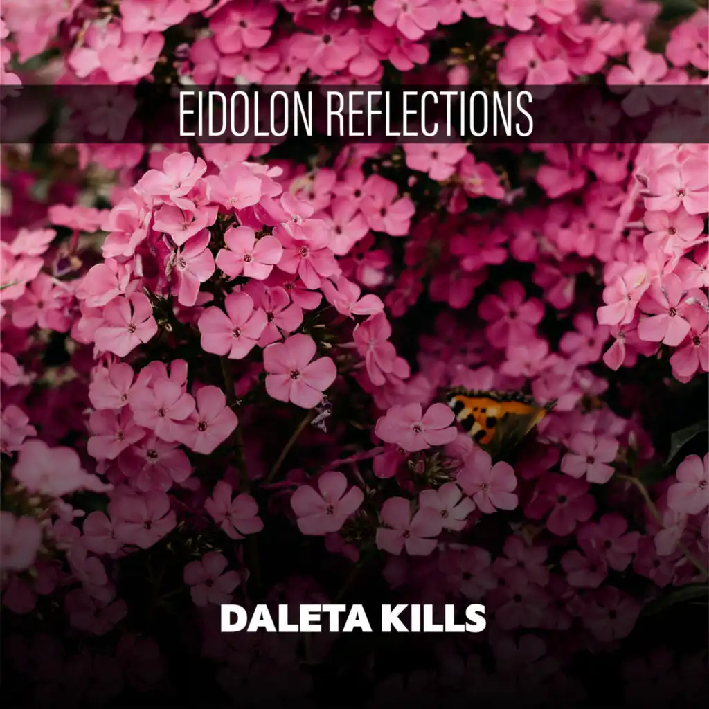 Eidolon Reflections