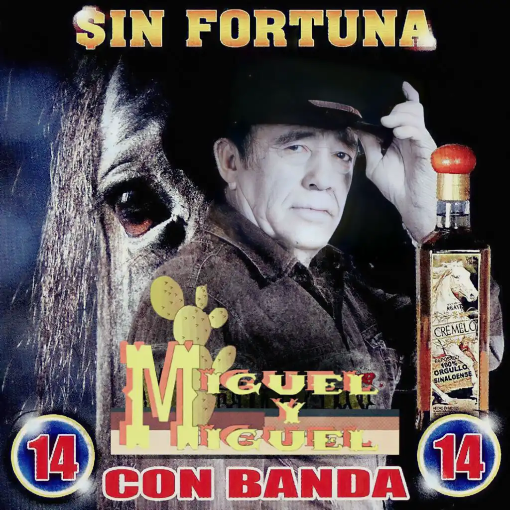 Sin Fortuna (14 Con Banda)