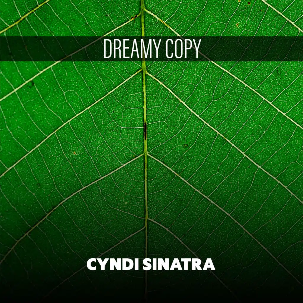 Dreamy Copy