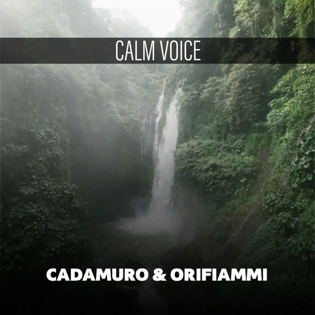 Calm Voice