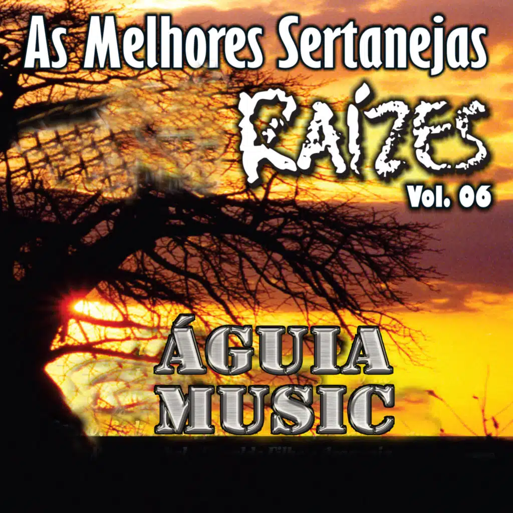 As Melhores Sertanejas Águia Music (Raízes), Vol 6 - (Ao Vivo)