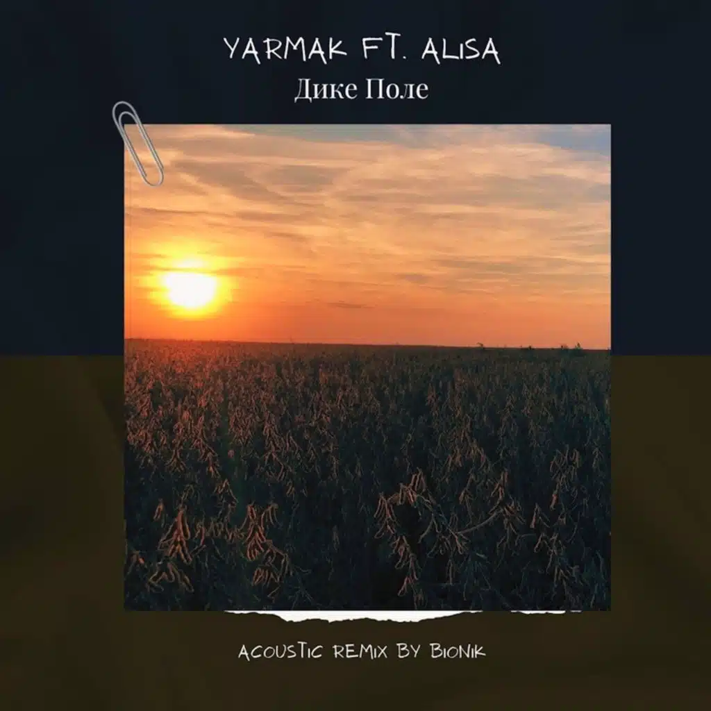 Дике Поле (Acoustic Remix by BioNik) [feat. ALISA]