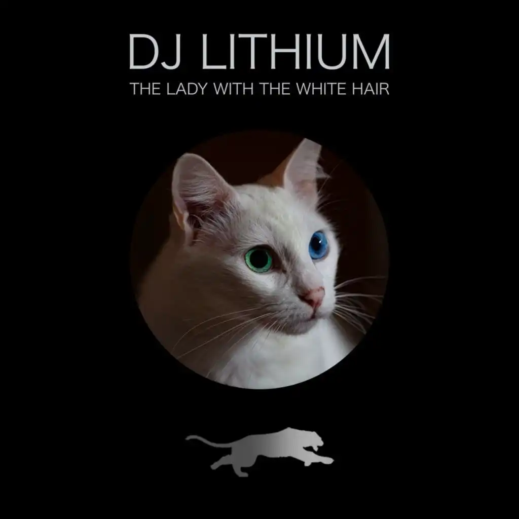 DJ Lithium