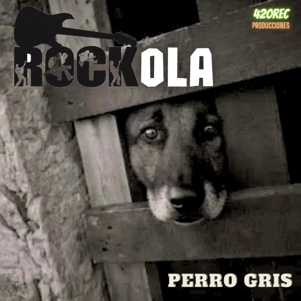 Perro Gris