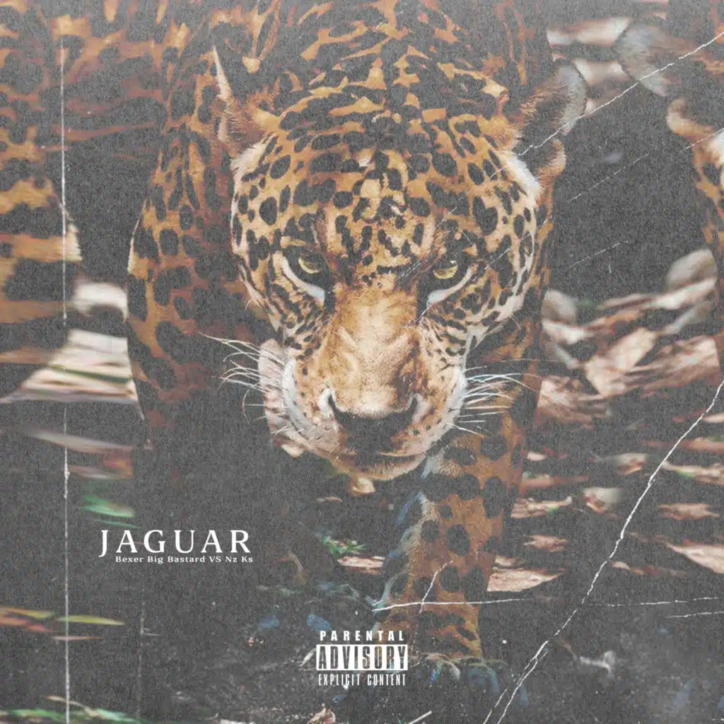Jaguar