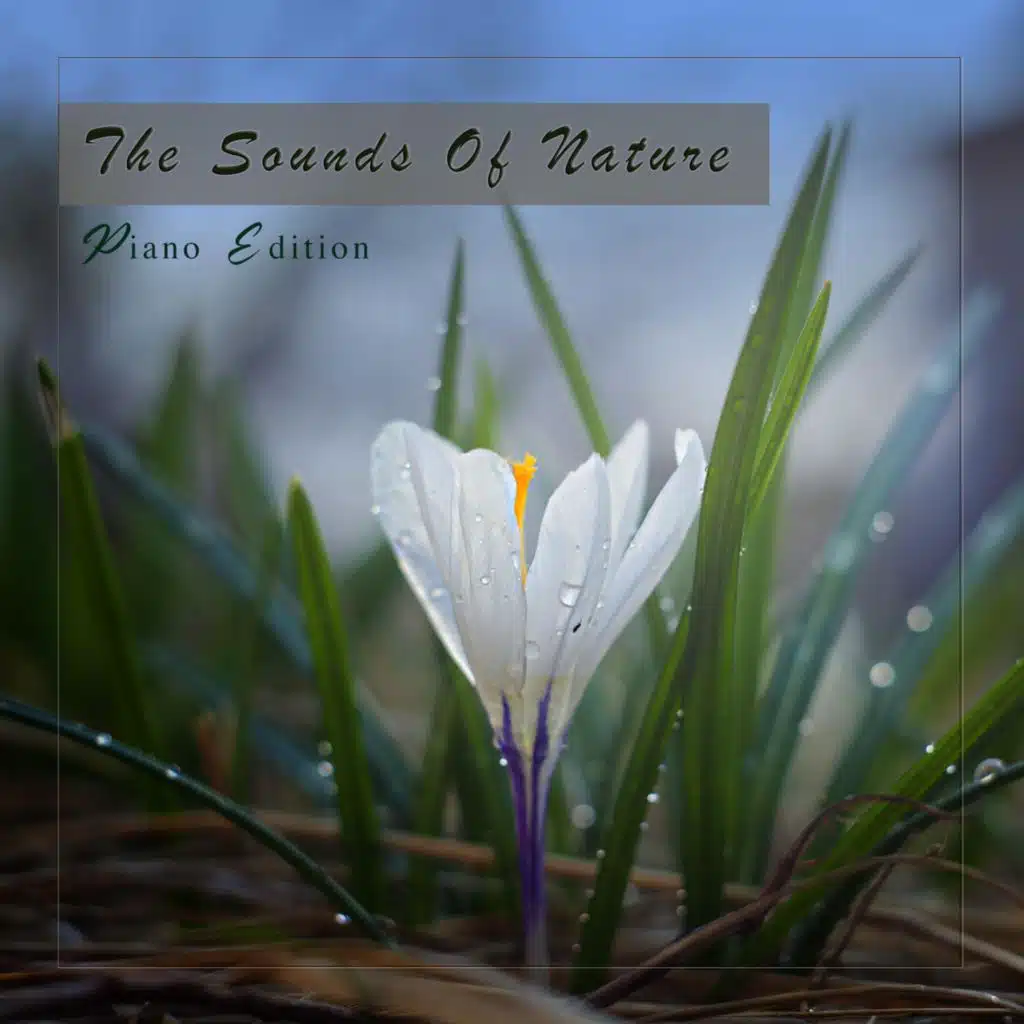 Believing It (Water Version)