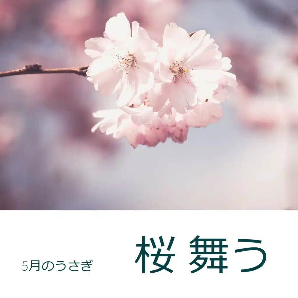 桜　舞う