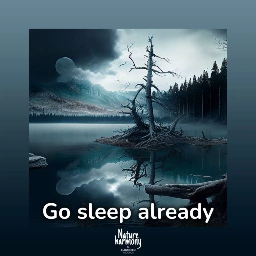 Go sleep already (feat. ADHD Focus)