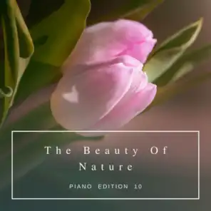 The Beauty of Nature (Piano Edition 10)