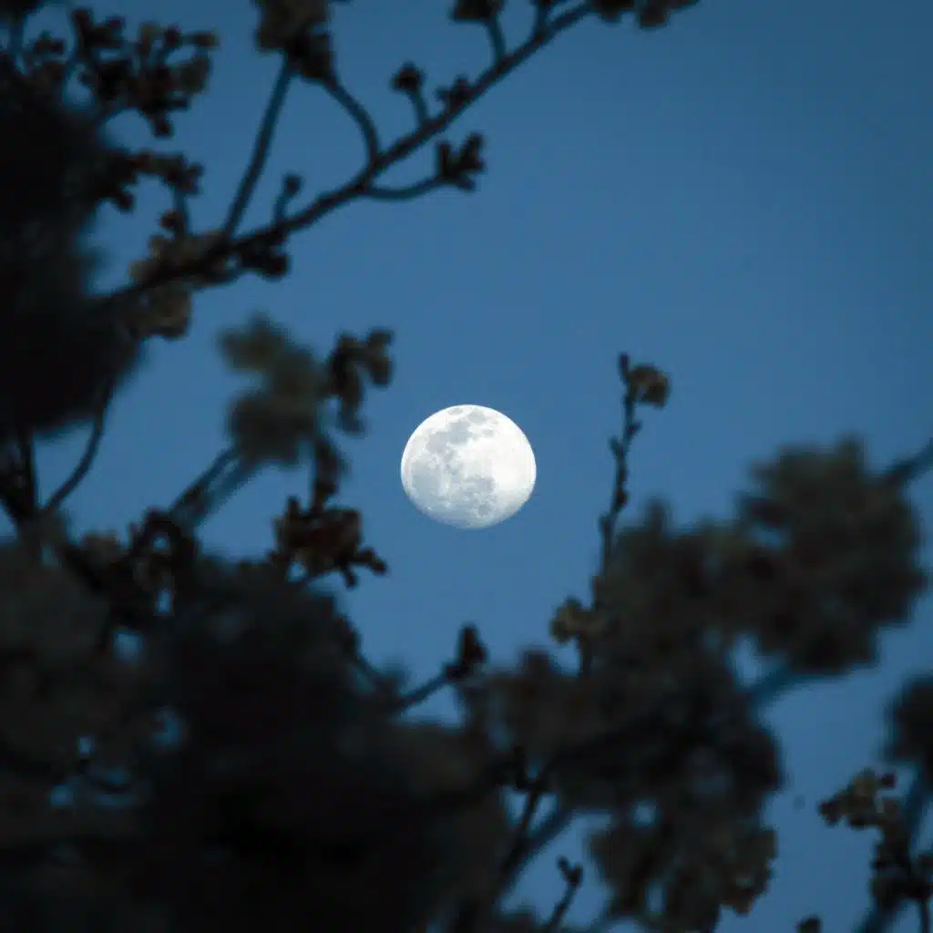 MOON