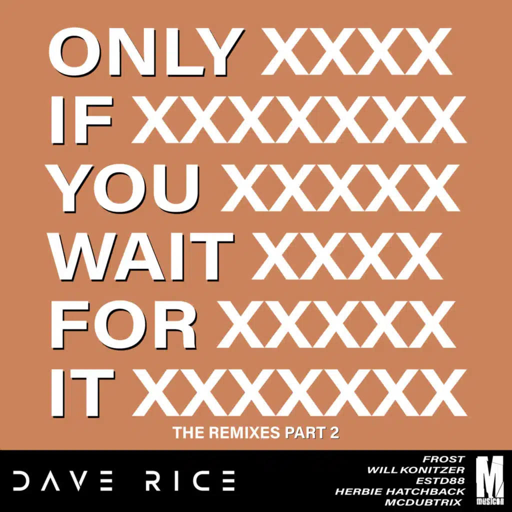 Only if You Wait for It (Herbie Hatchback Radio Edit)
