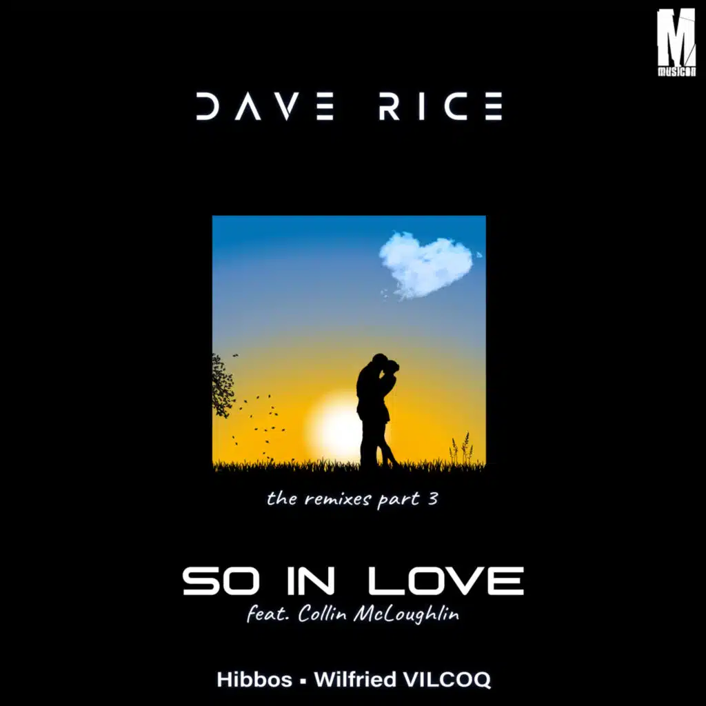 So in Love (Hibbos Remix) [feat. Collin McLoughlin]