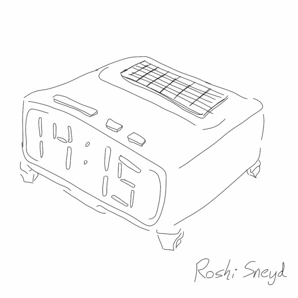Roshi Sneyd