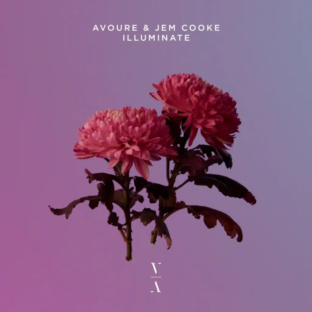 Avoure & Jem Cooke