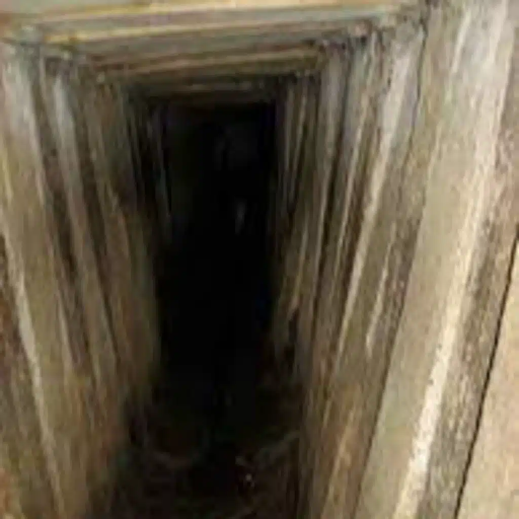 SCP-575: Predatory Darkness | SCP Files